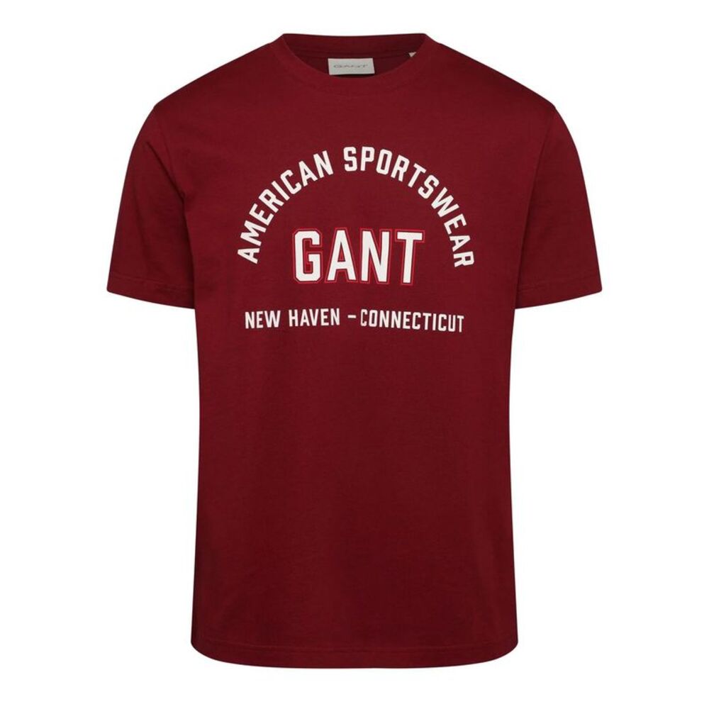 Gant Mens Graphic Print Regular T-Shirt / Red